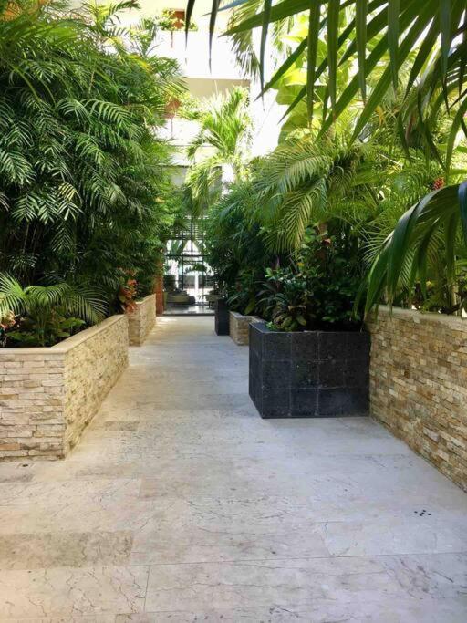 Your Exclusive Studio In The City - Top Amenities & Services For Free!! بلايا ديل كارمن المظهر الخارجي الصورة