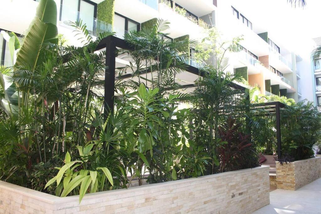 Your Exclusive Studio In The City - Top Amenities & Services For Free!! بلايا ديل كارمن المظهر الخارجي الصورة